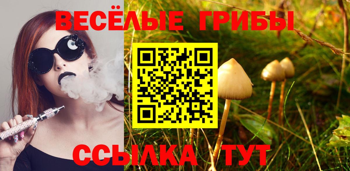 Строитель  продажа наркотиков  Вход с VPN  Галлюциногенные грибы мицелий 
